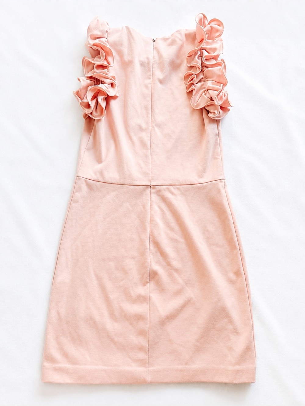 Amanda Uprichard Ridgely Ruffle Sleeve Dress Size Small Wedding Guest Shower - Picture 5 of 6